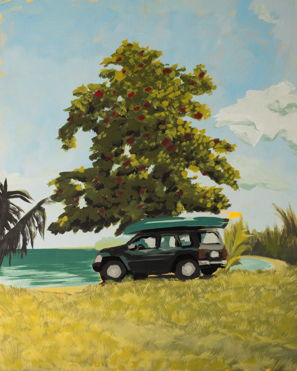 Parked at Luquillo Beach