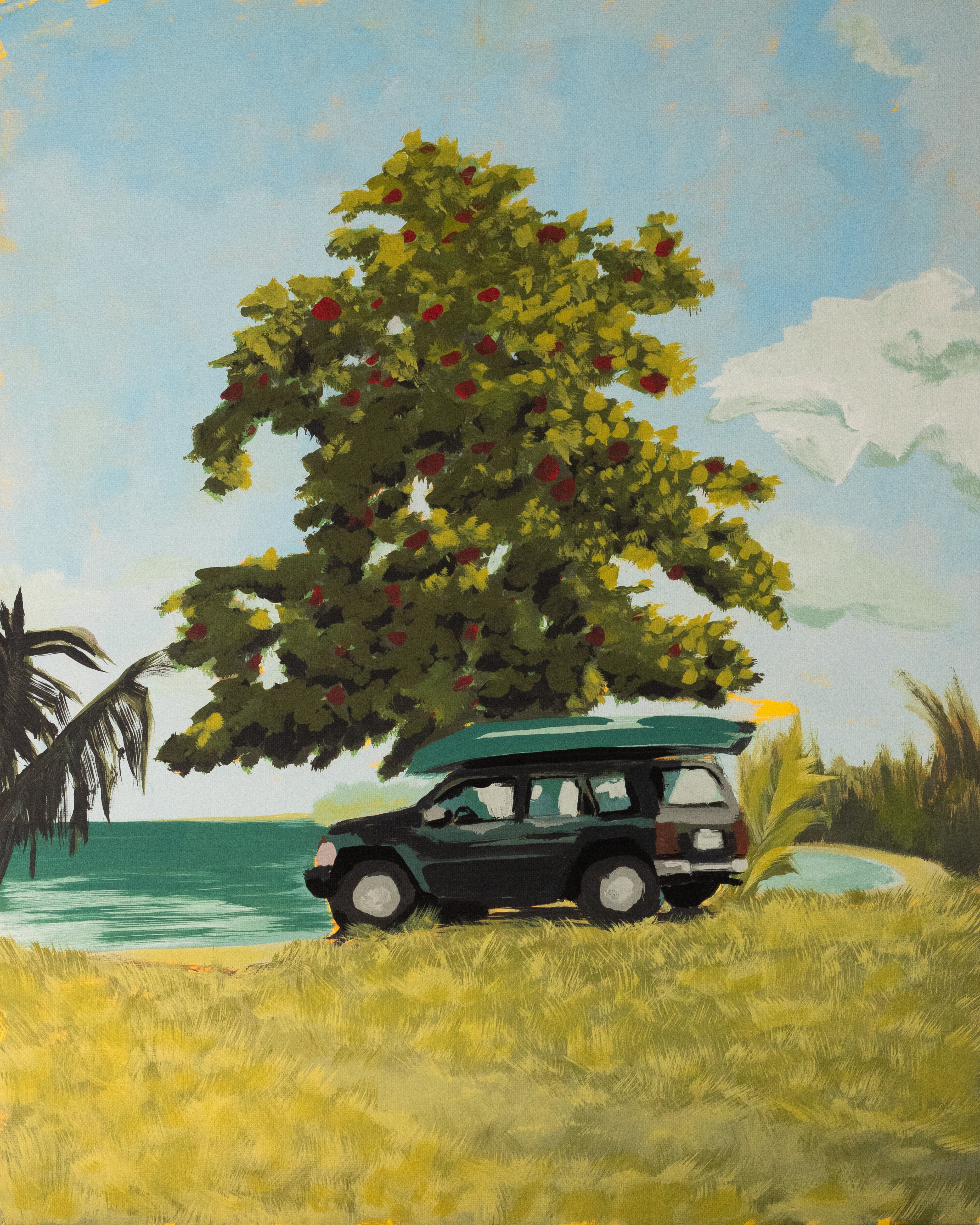 Parked at Luquillo Beach