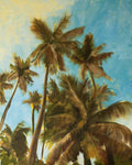 Luquillo Beach Palms