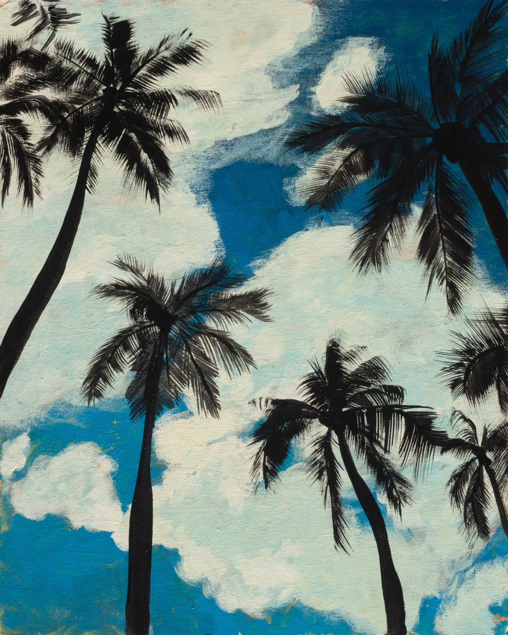 Kuhio Beach Palms
